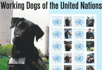 Working Dogs of the UN
